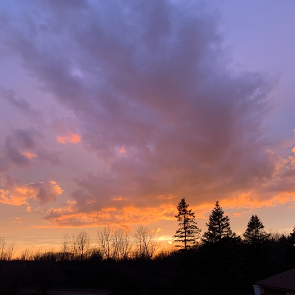 Meet your Posher, Karen - Picture 1 of 1